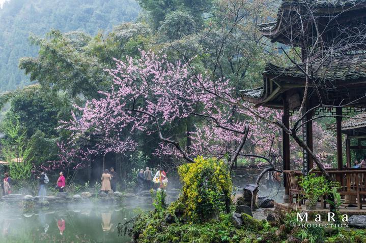 投篮得高分