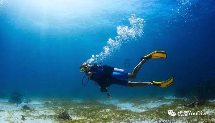 救援海盗章鱼